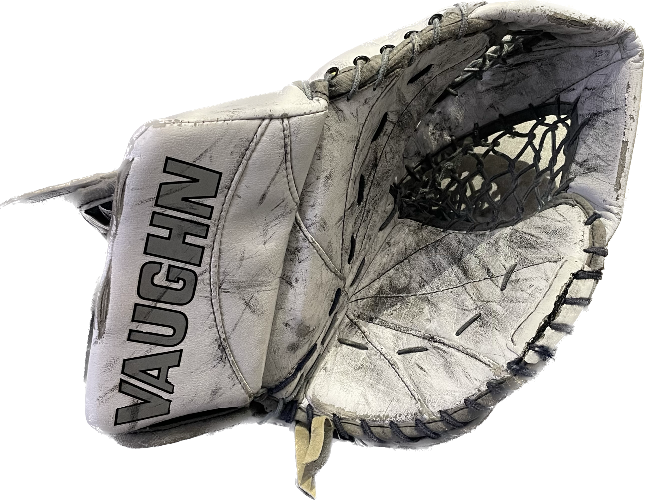 C11345E2-FC61-4F1E-868D-46A37E543EAC