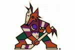 Arizona Coyotes